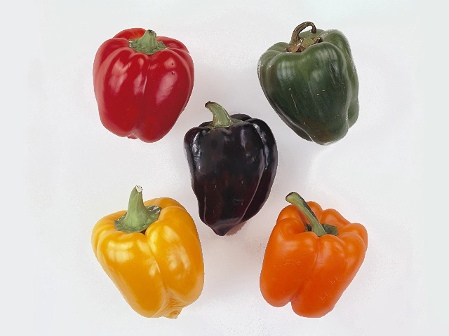 Capsicum annuum other