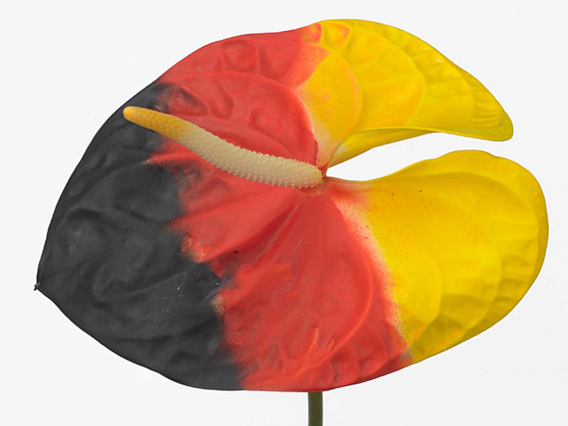 Антуриум Андре "Acropolis" colour treated German Flag H%