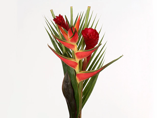 Heliconia bouquet